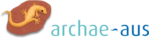 Archae-aus Logo